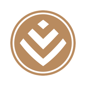 Discovery Group logo